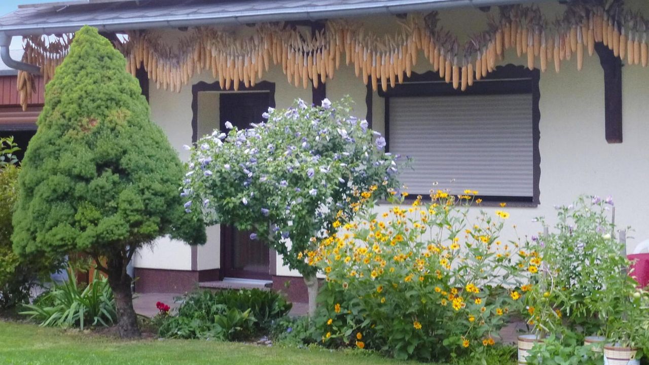 ExteriorSummer ExteriorSummer